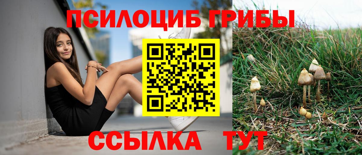 Галлюциногенные грибы Magic Shrooms Чита