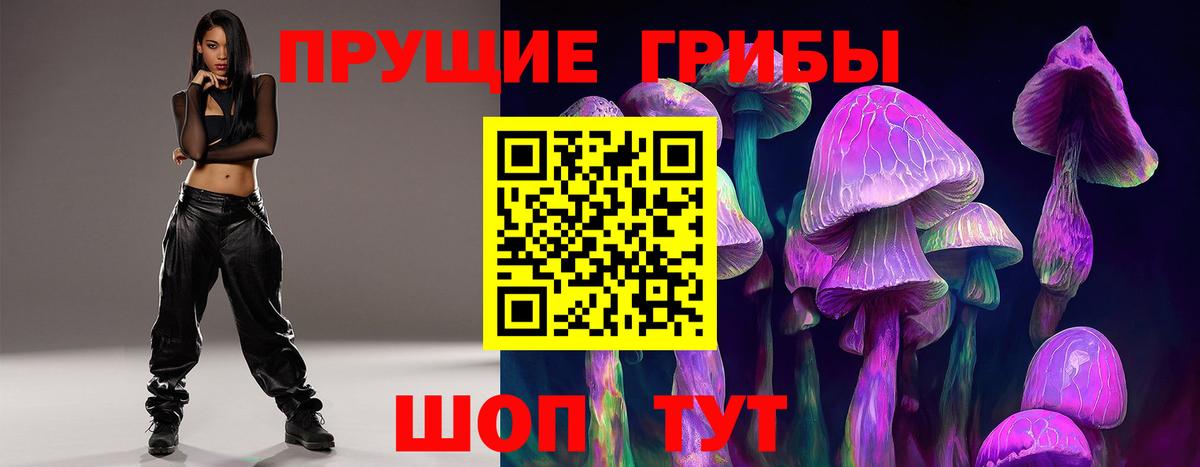 Галлюциногенные грибы Psilocybine cubensis  Вход с VPN  Чита 